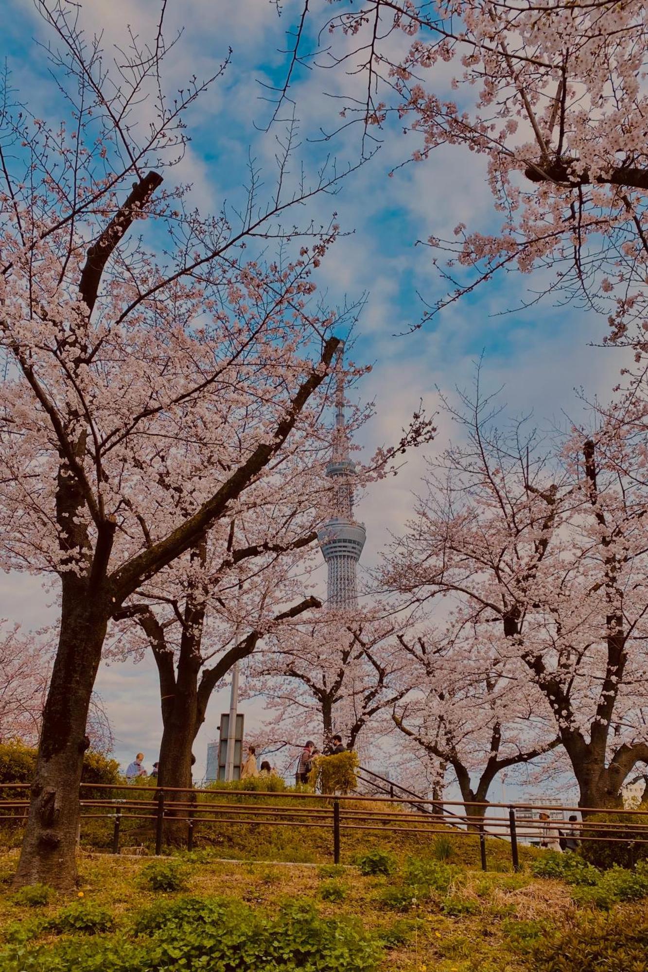 Toe Library Tokyo Asakusa Bagian luar foto